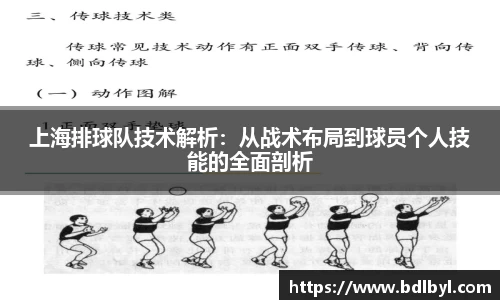 上海排球队技术解析：从战术布局到球员个人技能的全面剖析